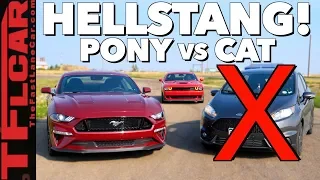 Gameshow: Is a Ford Mustang GT Faster Than a Fiesta ST...No Make That a Hellcat? Ep.8