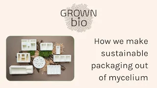 From Mushroom to Packaging: Grown bio's innovative solution!