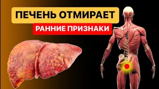 10 РАННИХ ПРИЗНАКОВ ТОГО, ЧТО ВАША ПЕЧЕНЬ ОТМИРАЕТ. 95% даже не подозревают  об этом