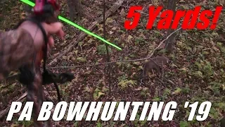 Public Land Bowhunting 2019 - Self Filmed Buck at 5 YARDS!