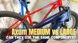 2021 - 2023 Schwinn Axum Medium vs Large Frame - Do the Spec differences affect component choice?