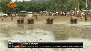 В Таиланде провели гонки на буйволах