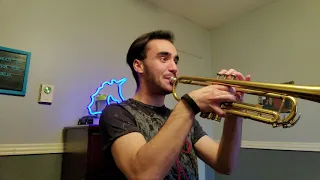 Angèle - Balance Ton Quoi (Trumpet Cover) by Max J