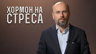 Как ни влияе хормонът на стреса? | Ефектът на стреса