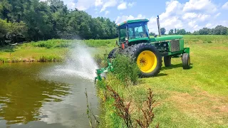 Save the Fish! : The Pond is in Danger of a Turnover!