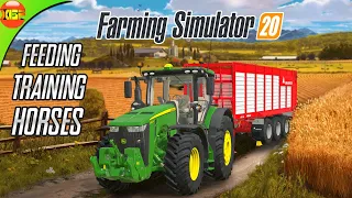 Feeding and Training Horses and Harvesting Crops | Farming Simulator 20 Timelapse Gameplay fs20
