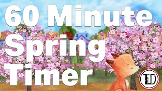 60 Minute Spring Timer | 1 Hour Spring Timer (2022)