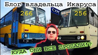 Находки внутри // Куда пропали два автобуса // Блог владельца Икаруса