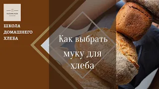 Как выбрать муку для хлеба