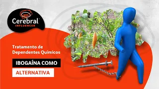 Ibogaína como Alternativa para o Tratamento de Dependentes Químicos (Cerebral Influencer)