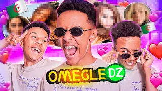 OMEGLE DZ | السمك الأبيض الأوروبي ❤️🐟🔥