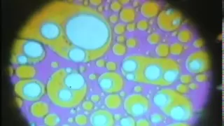 The Joshua Light Show - Liquid Loops (1969)