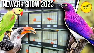 Newark Bird Show - October 2023