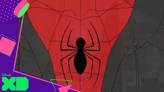 Marvel Spider-Man - Origen 6 | Disney XD