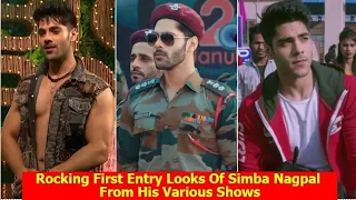 Rocking First Entry Looks of Simba Nagpal From Various Serials | Naagin 6 | Rishabh Gujral | Virat