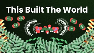 How Plants Turned Air Into Civilization ｜The Calvin Cycle