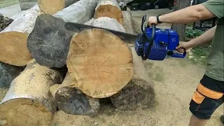 Holzforma G660 ported test in a big log