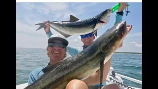 MASSIVE COBIA CAUGHT FROM TINY BOAT!! Seared Italian Cobia Recipe Catch Clean and Cook