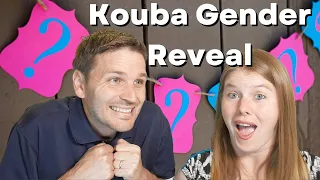 Baby Kouba Gender Reveal