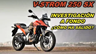 SUZUKI V-STROM 250 SX| INVESTIGACIÓN A FONDO| ESTO DICEN LOS PROPIETARIOS|