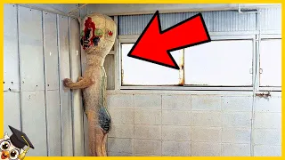 10 Monstruos SCP más Aterradores