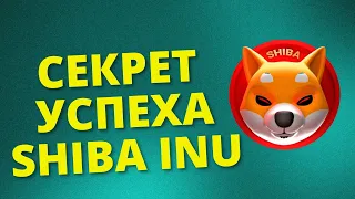 Секрет успеха Shiba Inu. На какие токены обратить внимание