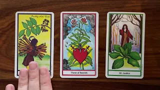 Lighten the load 27 July 2022 Your Daily Tarot Reading with Gregory Scott