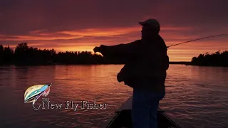 Wet Fly Salmon | Gander River Outfitters