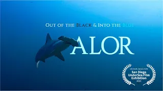 CHAPTER #19: ALOR. Out of the Black & Into the Blue