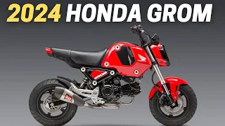 10 Things You Need to Know Before Buying The 2024 Honda Grom