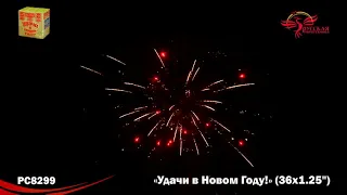 Удачи в Новом году! PC8299