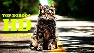 КЛАДБИЩЕ ДОМАШНИХ ЖИВОТНЫХ ТРЕЙЛЕР 2019 HD Pet Sematary 2019   Dead is Better   Paramount Pictures