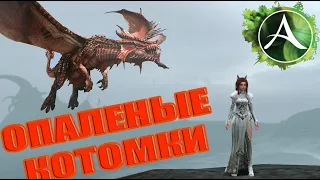 ArcheAge - ОТКРЫЛ 30 ОПАЛЕННЫХ КОТОМОК