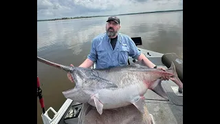 Martin's Paddlefish