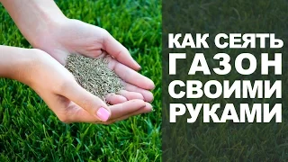 Как сеять газонную траву своими руками