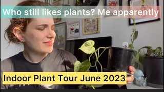 Indoor plant tour and African violet unboxing June 2023