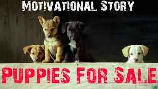 Puppies For Sale | Short Motivational Story | Short Story #158 | English | Minutes Of Motivation