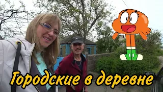 Нам подарили рассаду! Уже выкапываем картошку! Жизнь в деревне кипит!