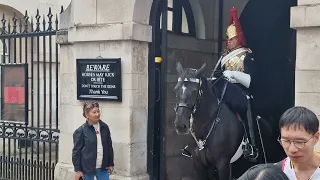 She thought twice about grabbing the reins when the guard gave her that look #horseguardsparade