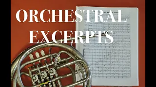 ORCHESTRAL EXCERPT for FRENCH HORN 27: Ravel. Pavane