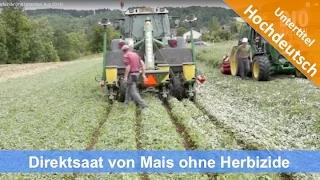 Direktsaat von Silomais ohne Herbizide (mit Untertitel, Aug 2015)