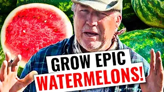 How To Grow HUGE Watermelons!