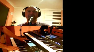 Blinding lights the weeknd cover