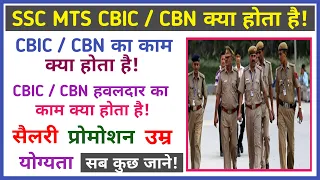 cbic cbn havaldar job profile || cbic cbn havaldar work profile || salary || promotion