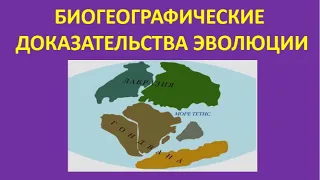 18. Биогеографические доказательства эволюции