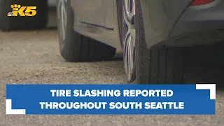 Tire slashings reported across multiple south Seattle neighborhoods