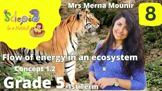 Science_Grade5-Junior 5-Concept 1.2-1stTerm-Flow of energy in an ecosystem-v8