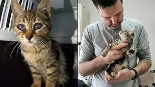 Счастливая история слепой кошечки по имени Нюша