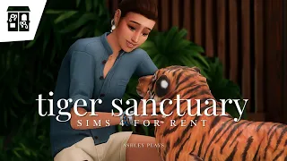 volunteering at the tiger sanctuary | the sims 4: for rent gameplay (EP 2)