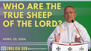 "Who are the true sheep of the Lord?" | April 23, 2024 Homily with English Subtitle.